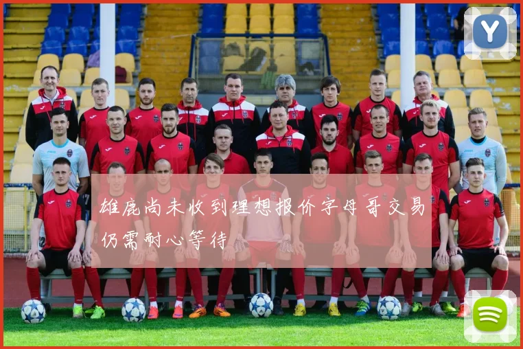 雄鹿尚未收到理想报价字母哥交易仍需耐心等待